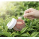 MEDIPEEL Hyal Kombucha Tea-Tox Cream 50 ml Зволожувальний крем для обличчя з комбучем